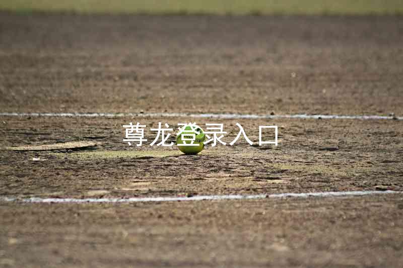 尊龙登录入口