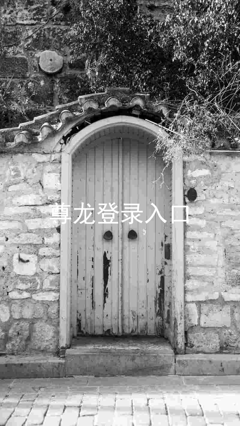 尊龙登录入口